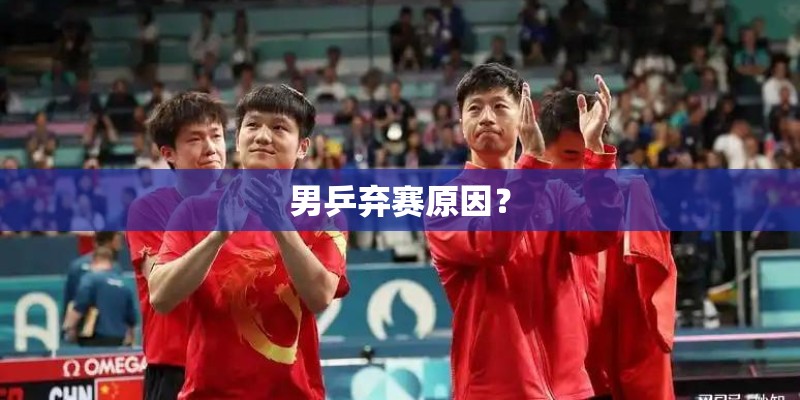 男乒弃赛原因? 男乒弃赛原因?