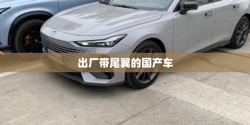 出厂带尾翼的国产车 出厂带尾翼的国产车