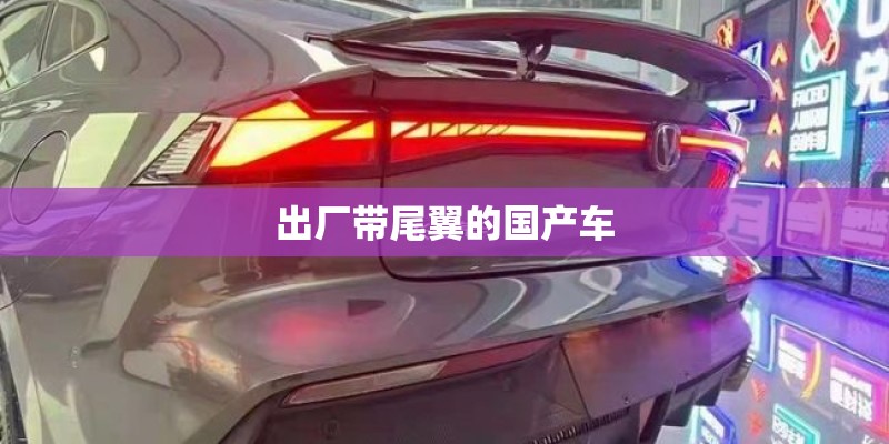 出厂带尾翼的国产车 出厂带尾翼的国产车